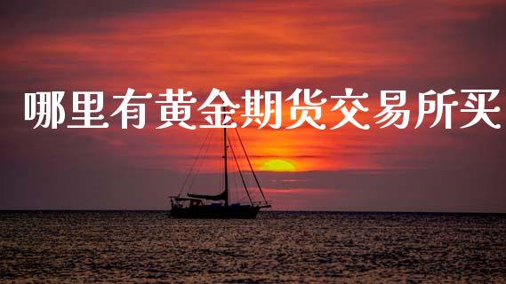 哪里有黄金期货交易所买_https://www.kuaijiepai.net_期货资讯_第1张