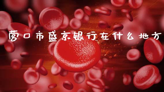 营口市盛京银行在什么地方_https://www.kuaijiepai.net_股票理论_第1张