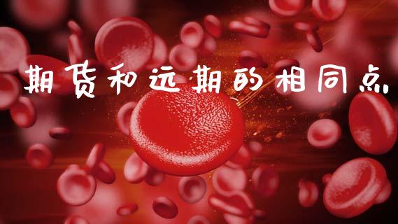 期货和远期的相同点_https://www.kuaijiepai.net_国际期货_第1张