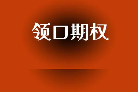 领口期权_https://www.kuaijiepai.net_期货资讯_第1张