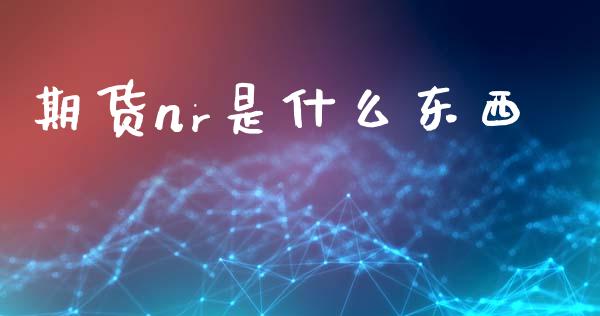 期货nr是什么东西_https://www.kuaijiepai.net_期货在线_第1张