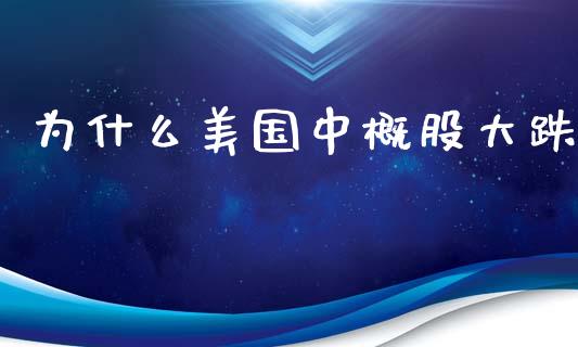 为什么美国中概股大跌_https://www.kuaijiepai.net_国际期货_第1张