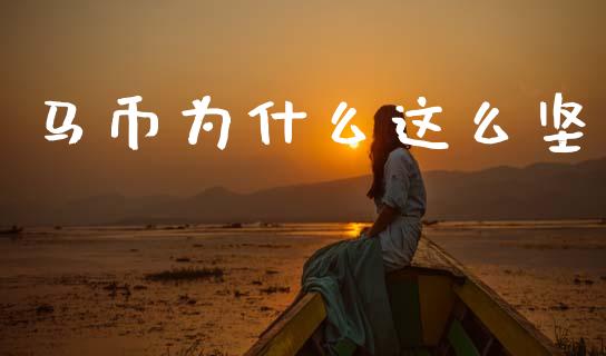马币为什么这么坚_https://www.kuaijiepai.net_投资理财_第1张
