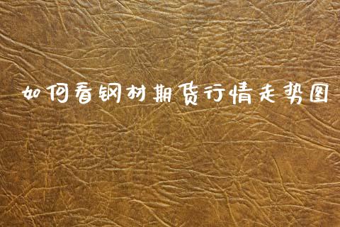如何看钢材期货行情走势图_https://www.kuaijiepai.net_期货资讯_第1张