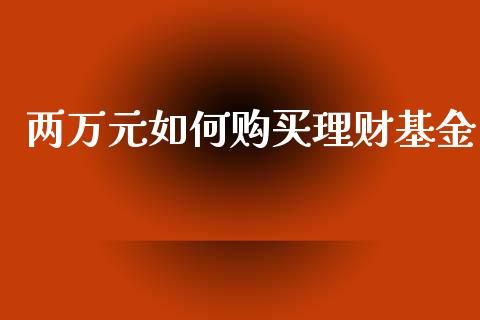两万元如何购买理财基金_https://www.kuaijiepai.net_期货理财_第1张