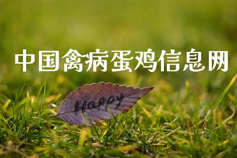 中国禽病蛋鸡信息网_https://www.kuaijiepai.net_期货资讯_第1张