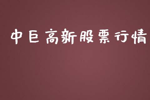 中巨高新股票行情_https://www.kuaijiepai.net_股票理论_第1张