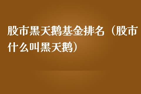 股市黑天鹅基金排名（股市什么叫黑天鹅）_https://www.kuaijiepai.net_期货理财_第1张