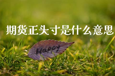 期货正头寸是什么意思_https://www.kuaijiepai.net_期货资讯_第1张