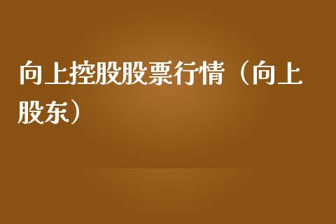 向上控股股票行情（向上 股东）_https://www.kuaijiepai.net_股票理论_第1张