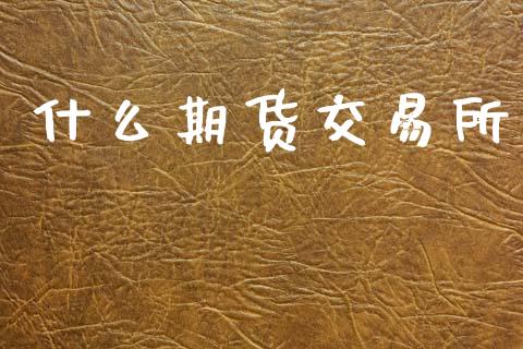 什么期货交易所_https://www.kuaijiepai.net_国际期货_第1张