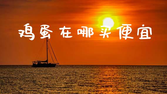 鸡蛋在哪买便宜_https://www.kuaijiepai.net_期货资讯_第1张