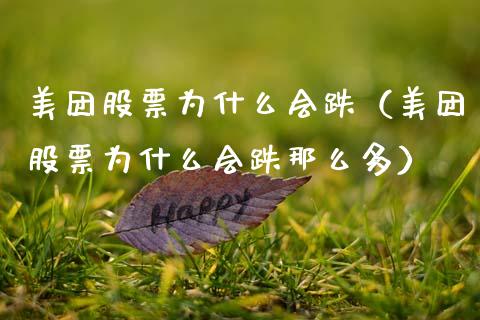 美团股票为什么会跌（美团股票为什么会跌那么多）_https://www.kuaijiepai.net_股票理论_第1张