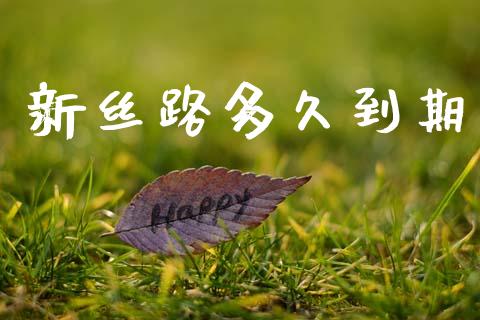 新丝路多久到期_https://www.kuaijiepai.net_国际期货_第1张