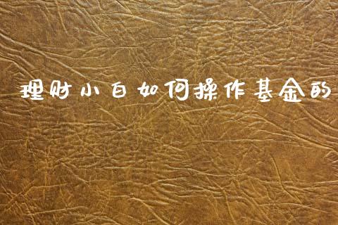 理财小白如何操作基金的_https://www.kuaijiepai.net_投资理财_第1张