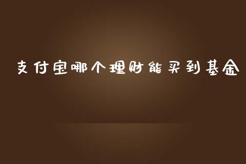 支付宝哪个理财能买到基金_https://www.kuaijiepai.net_投资理财_第1张