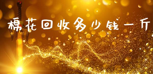 棉花回收多少钱一斤_https://www.kuaijiepai.net_期货资讯_第1张