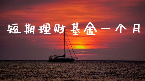 短期理财基金一个月_https://www.kuaijiepai.net_投资理财_第1张