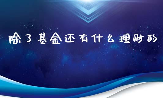 除了基金还有什么理财的_https://www.kuaijiepai.net_期货理财_第1张