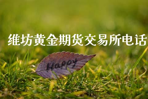 维坊黄金期货交易所电话_https://www.kuaijiepai.net_期货资讯_第1张