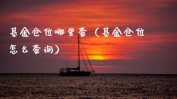 基金仓位哪里查（基金仓位怎么查询）_https://www.kuaijiepai.net_投资理财_第1张