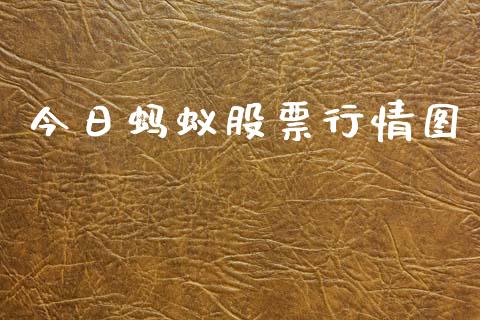 今日蚂蚁股票行情图_https://www.kuaijiepai.net_新股新闻_第1张