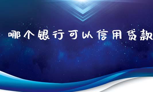 哪个银行可以信用贷款_https://www.kuaijiepai.net_股票理论_第1张