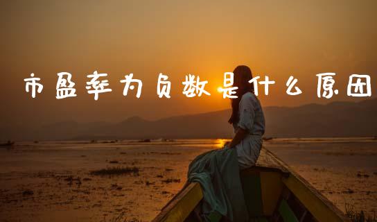 市盈率为负数是什么原因_https://www.kuaijiepai.net_期货在线_第1张