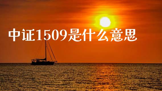 中证1509是什么意思_https://www.kuaijiepai.net_新股新闻_第1张