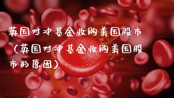 英国对冲基金收购美国股市（英国对冲基金收购美国股市的原因）_https://www.kuaijiepai.net_投资理财_第1张