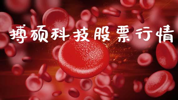 搏硕科技股票行情_https://www.kuaijiepai.net_国际股建_第1张