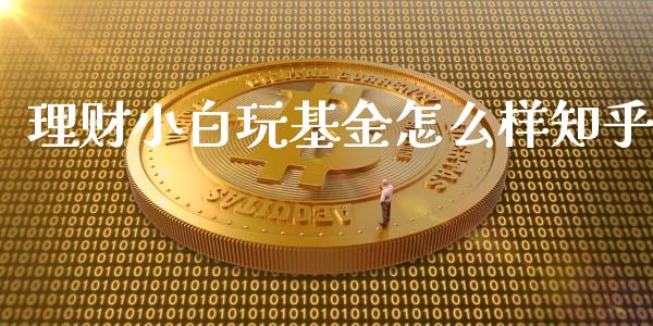 理财小白玩基金怎么样知乎_https://www.kuaijiepai.net_投资理财_第1张