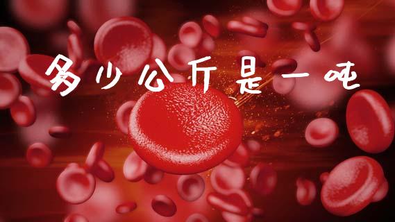 多少公斤是一吨_https://www.kuaijiepai.net_期货在线_第1张
