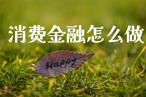消费金融怎么做_https://www.kuaijiepai.net_股票理论_第1张