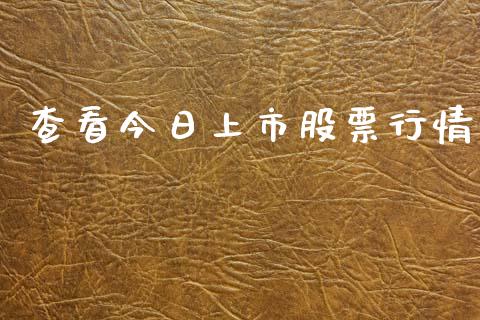查看今日上市股票行情_https://www.kuaijiepai.net_股票理论_第1张