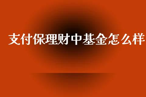 支付保理财中基金怎么样_https://www.kuaijiepai.net_投资理财_第1张