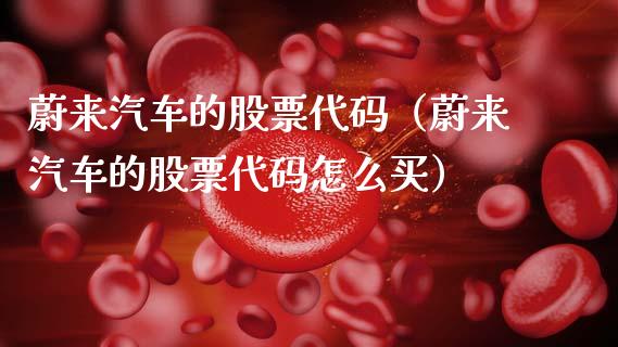 蔚来汽车的股票代码（蔚来汽车的股票代码怎么买）_https://www.kuaijiepai.net_新股新闻_第1张