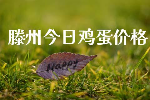 滕州今日鸡蛋价格_https://www.kuaijiepai.net_国际期货_第1张