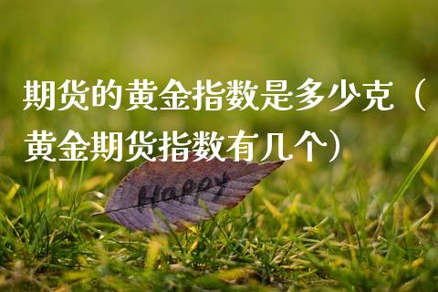 期货的黄金指数是多少克（黄金期货指数有几个）_https://www.kuaijiepai.net_国际期货_第1张