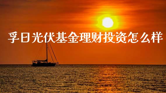 孚日光伏基金理财投资怎么样_https://www.kuaijiepai.net_期货理财_第1张