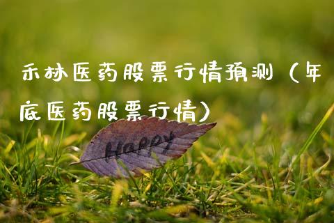 禾林医药股票行情预测（年底医药股票行情）_https://www.kuaijiepai.net_国际股建_第1张
