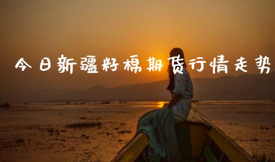 今日新疆籽棉期货行情走势_https://www.kuaijiepai.net_期货资讯_第1张