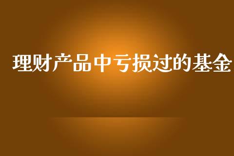 理财产品中亏损过的基金_https://www.kuaijiepai.net_投资理财_第1张