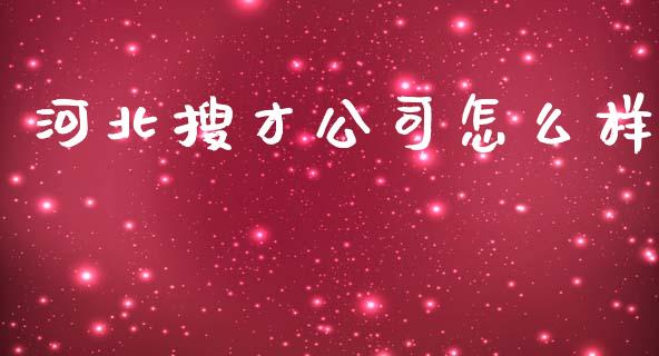 河北搜才公司怎么样_https://www.kuaijiepai.net_国际股建_第1张