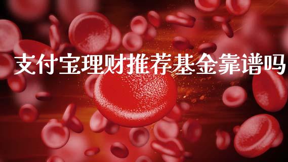支付宝理财推荐基金靠谱吗_https://www.kuaijiepai.net_投资理财_第1张