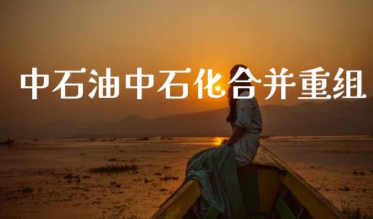 中石油中石化合并重组_https://www.kuaijiepai.net_期货在线_第1张