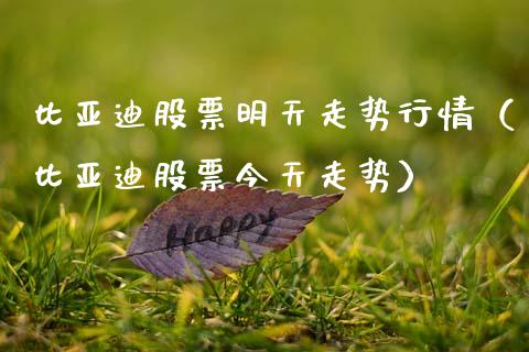 比亚迪股票明天走势行情（比亚迪股票今天走势）_https://www.kuaijiepai.net_新股新闻_第1张