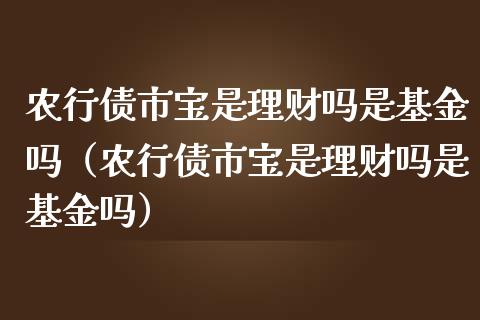 农行债市宝是理财吗是基金吗（农行债市宝是理财吗是基金吗）_https://www.kuaijiepai.net_期货理财_第1张