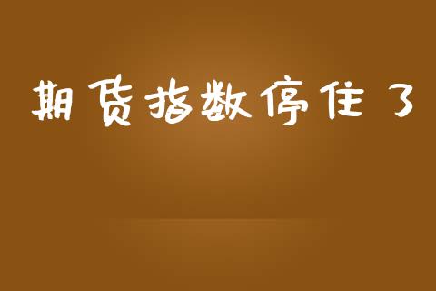 期货指数停住了_https://www.kuaijiepai.net_期货资讯_第1张