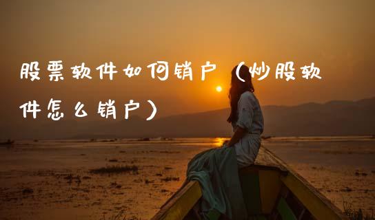 股票软件如何销户（炒股软件怎么销户）_https://www.kuaijiepai.net_国际股建_第1张
